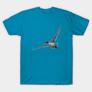 Pintail flyby T-Shirt